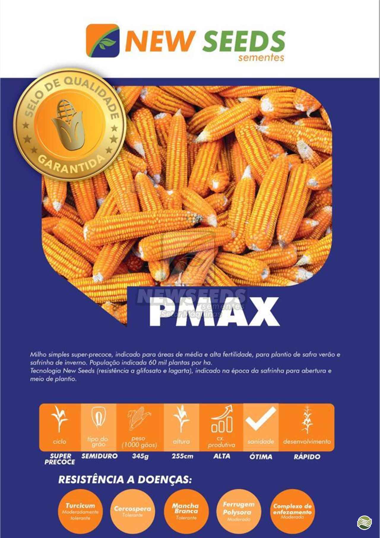 SEMENTES MILHO NEW SEEDS PMAX New Seeds Sementes MARACAJU MATO GROSSO DO SUL MS